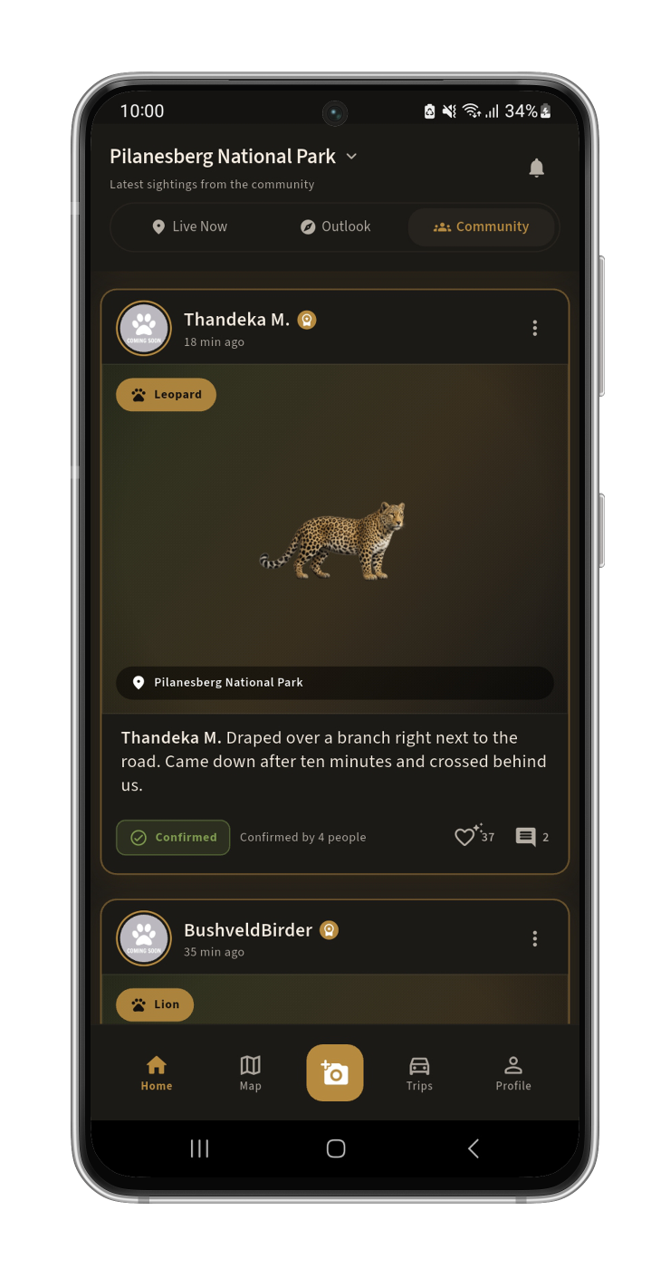 Sightings Feed: Recent sightings from the community