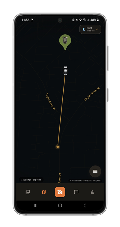 opspoor map in Photography Mode, showing a sun-position ray from your car towards a sighting